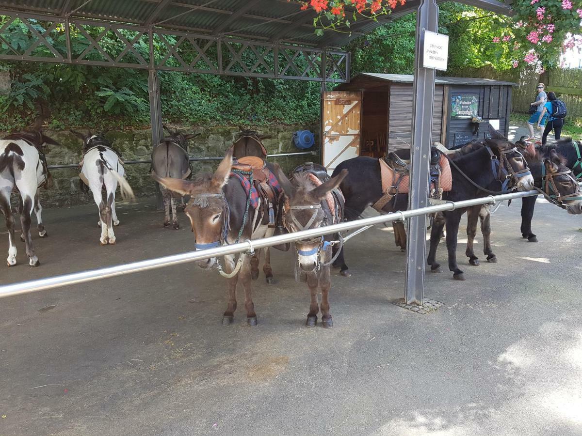 Ferienhaus Mueller Unkel Buitenkant foto